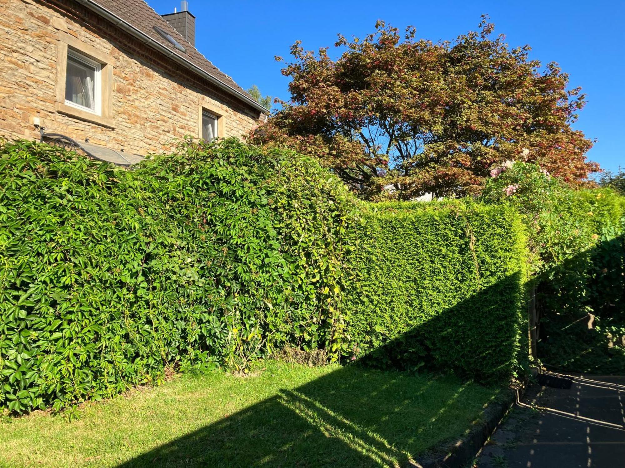 Ferienwohnung Im Gruenen Eg Mit Terrasse Herdecke Exterior photo